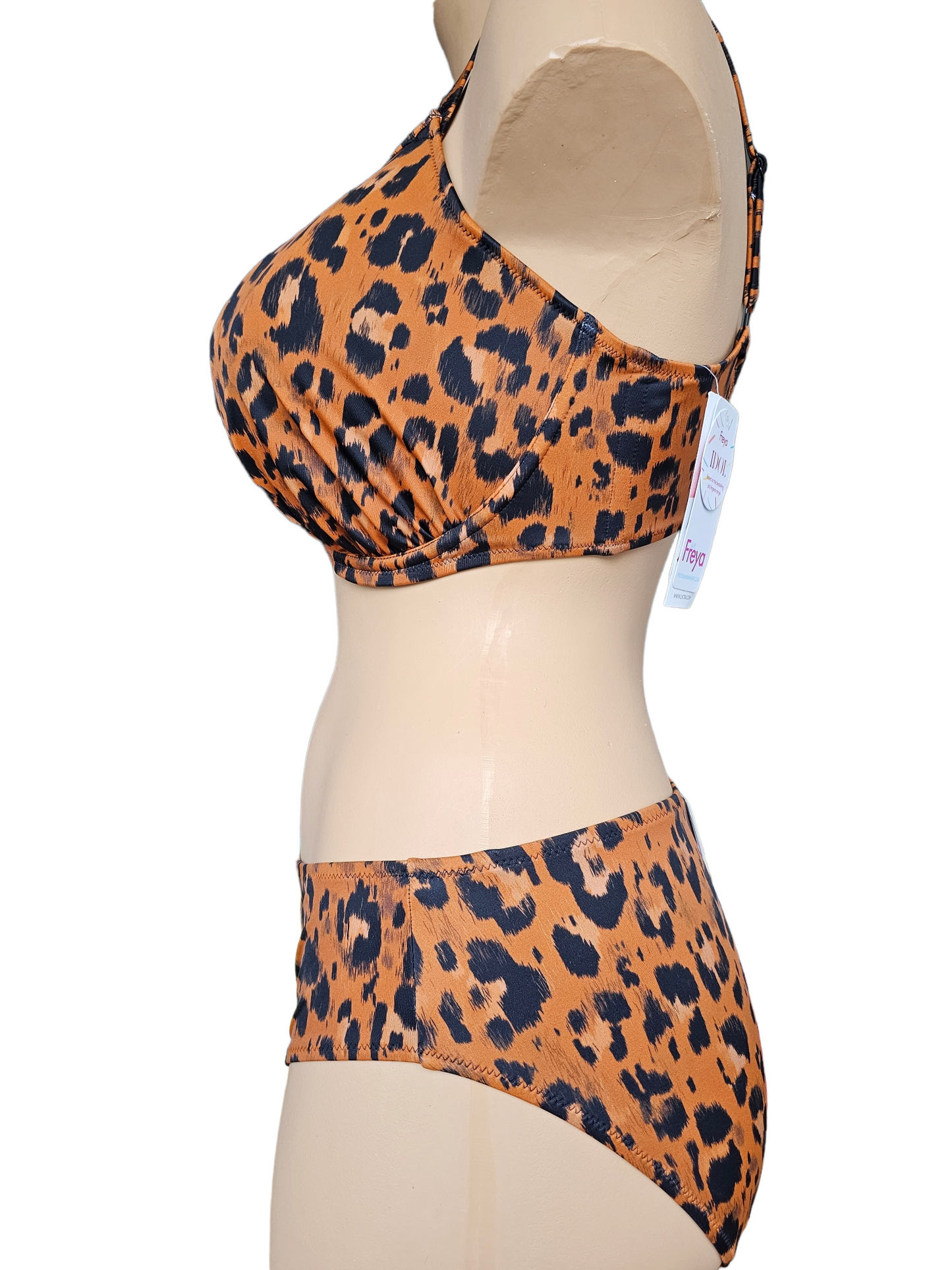 Freya - Roar Instinct bikini set