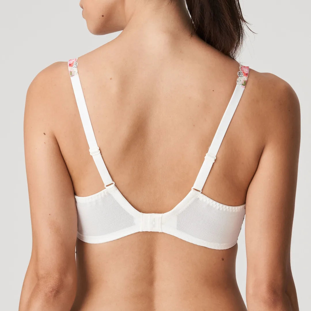 Prima Donna Twist - Efforia flowers bh