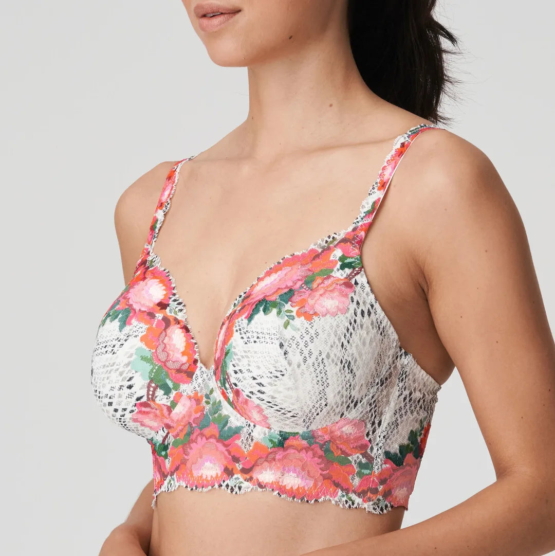 Prima Donna Twist - Efforia flowers bh