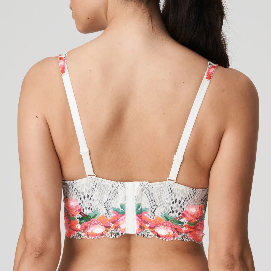 Prima Donna Twist - Efforia flowers bh