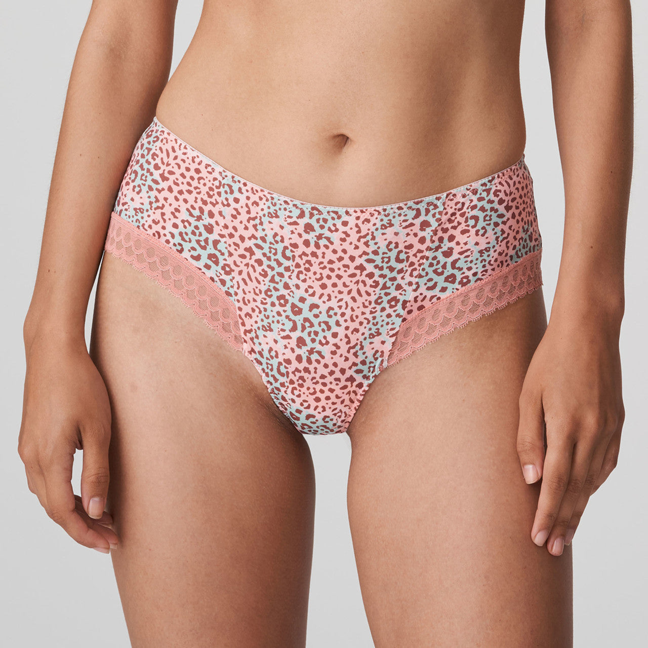 Prima Donna - Livadi Summer Rose
