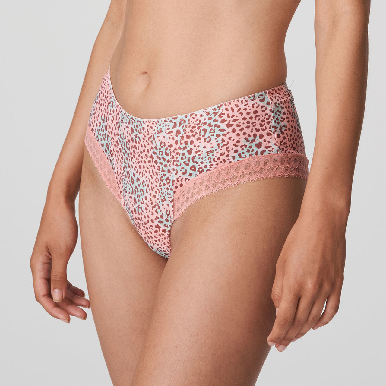 Prima Donna - Livadi Summer Rose